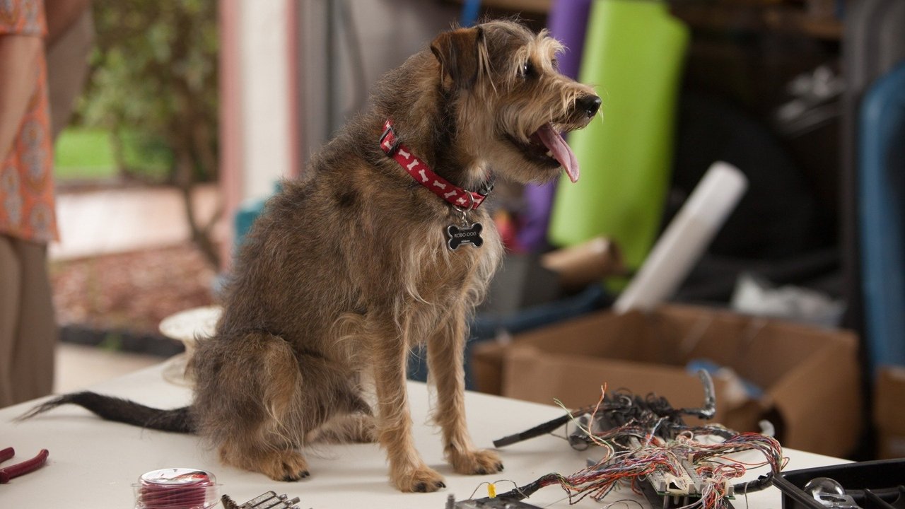 Robo-Dog Collection background